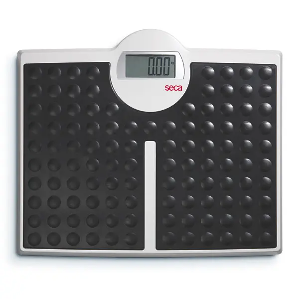 Electronic Flat Scales with Very High Capacity seca 813