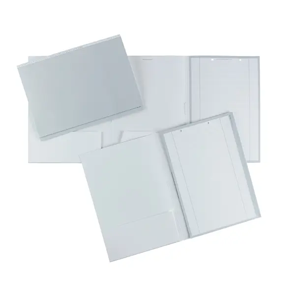 Alphanorm Card index folders DIN A4